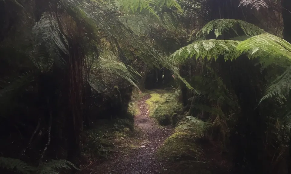 Croesus Crossing, West Coast