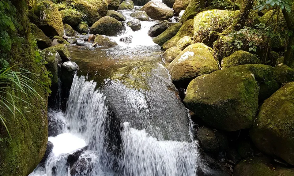 Wairere Falls, Waikato