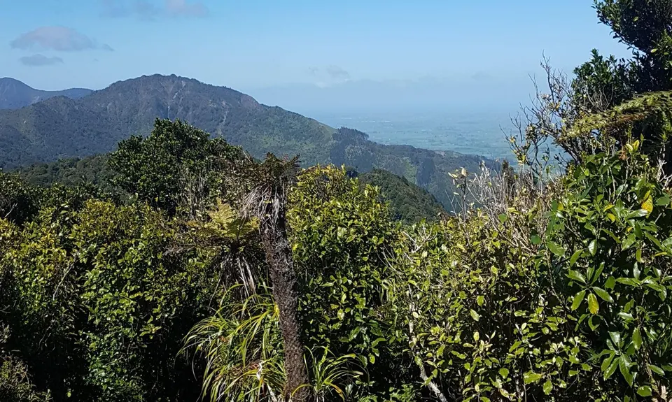 Hot Springs Loop, Bay of Plenty