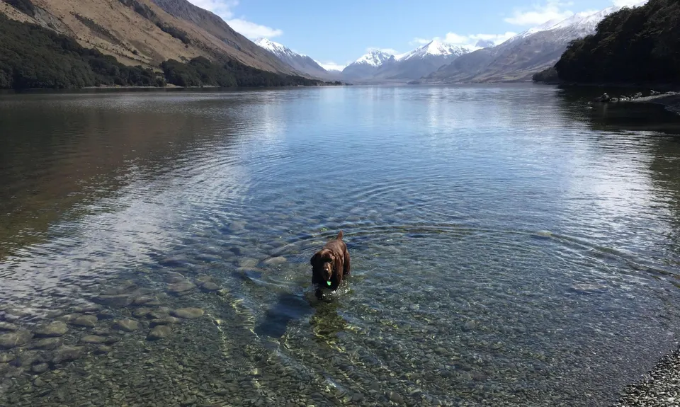 North Mavora Lake - Carey's Hut return, Southland