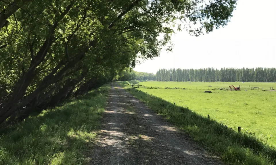 Ashley River Stopbanks Half Marathon , Canterbury