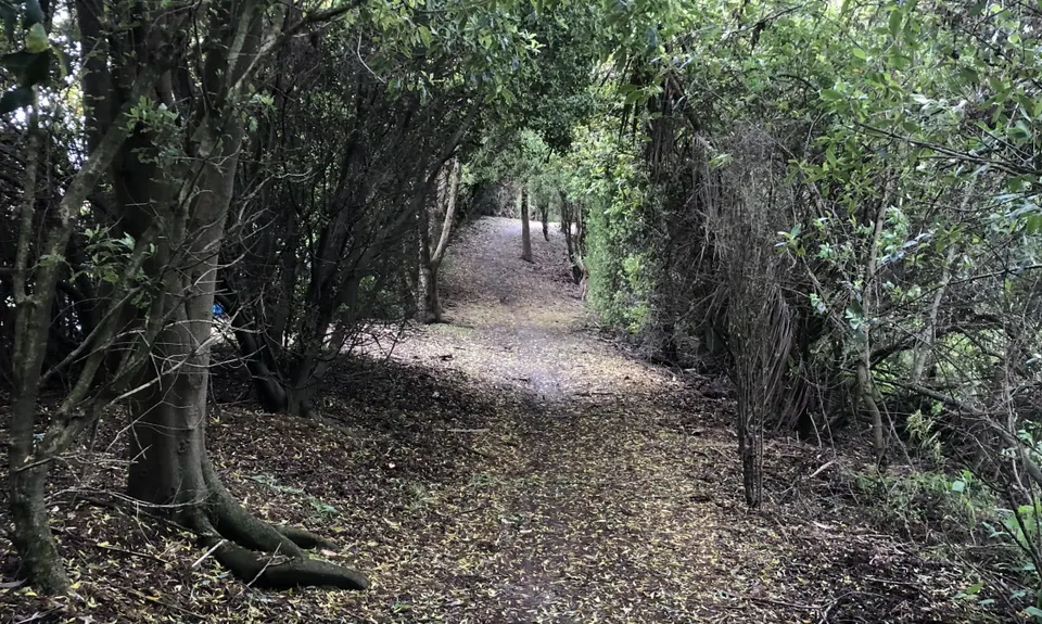 Timaru City Parks, Canterbury
