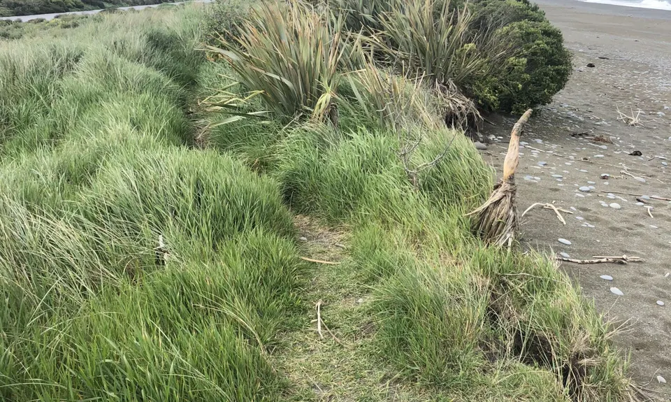 Timaru City Parks, Canterbury