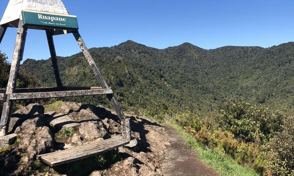 Ruapane Leg Burner, Waikato