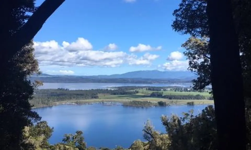 Mount Te Kinga, West Coast