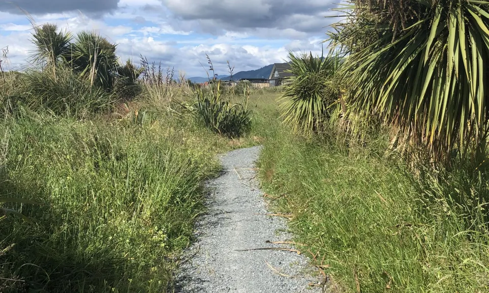 Waikanae River & Estuary, Wellington