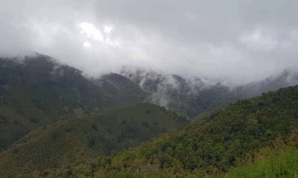 Serpentine Hackett Loop, Tasman