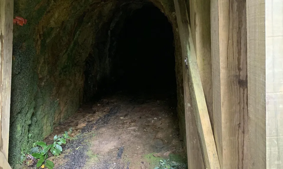 Te Aroha -Waiorongomai Loop, Waikato