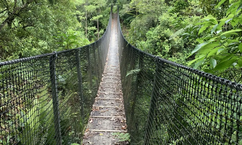 Te Aroha -Waiorongomai Loop, Waikato