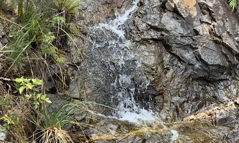 Te Aroha -Waiorongomai Loop, Waikato