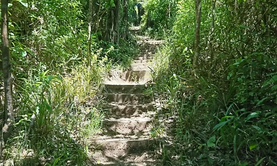 Kakepuku Climb, Waikato