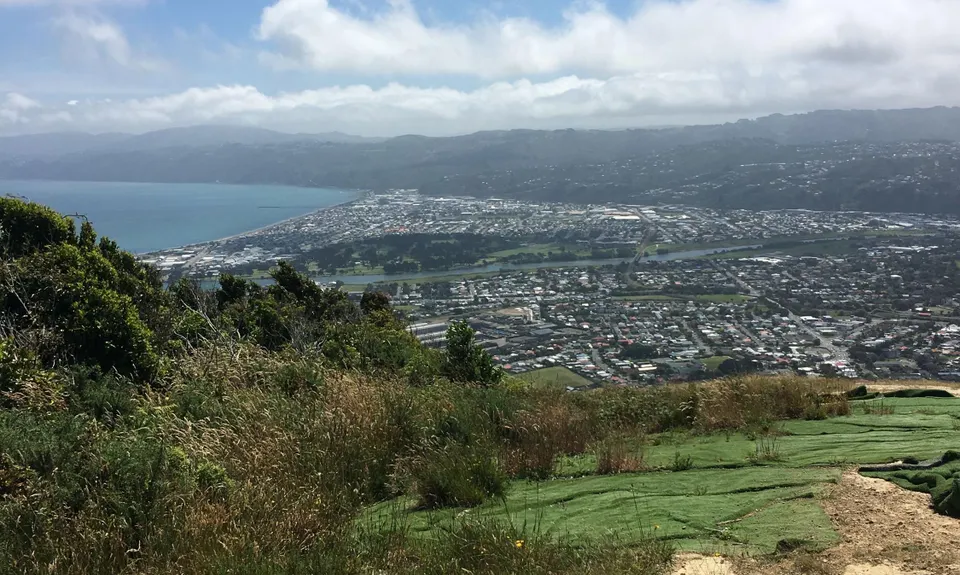 Te Whiti Firebreak Calf Burn, Wellington