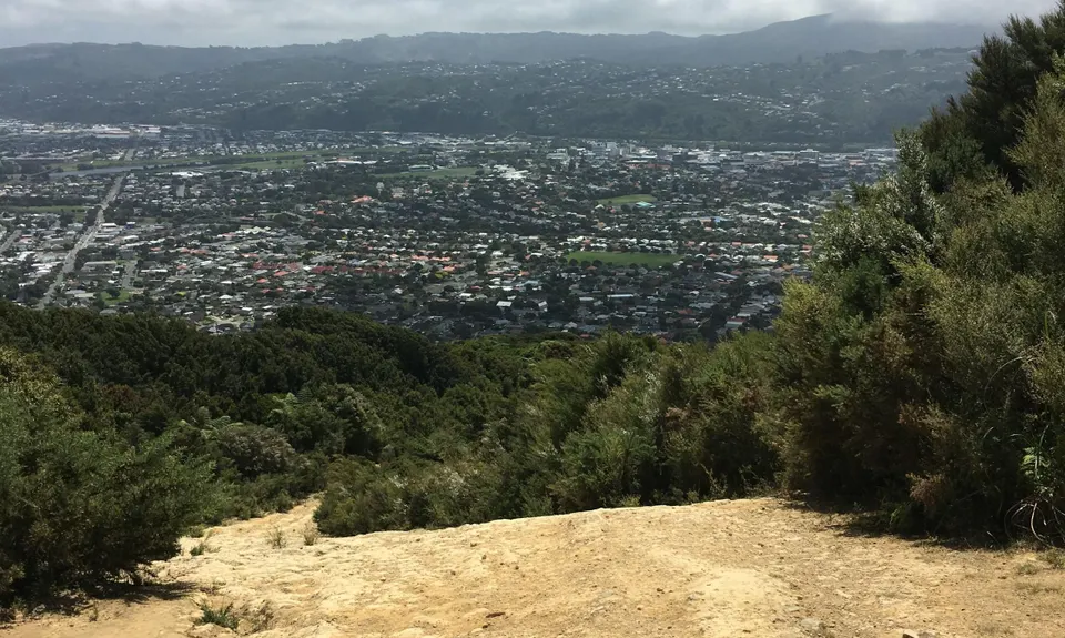 Te Whiti Firebreak Calf Burn, Wellington