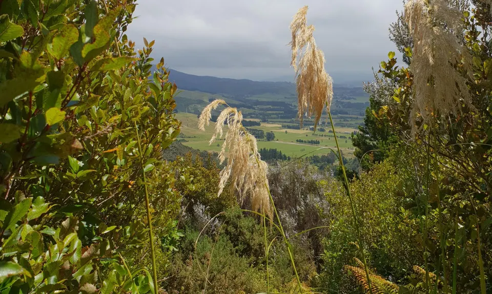 Dobson Loop, Wellington
