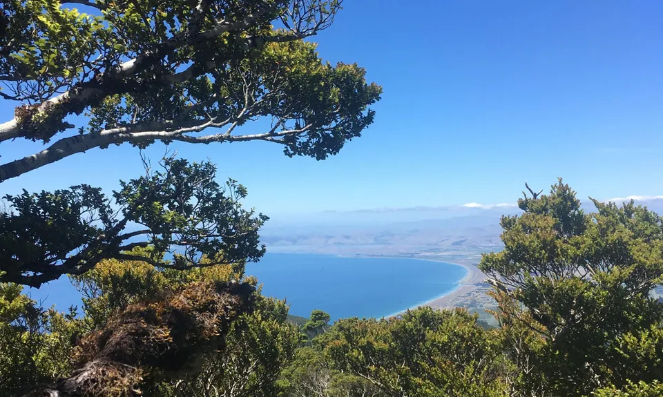 Tokomaru, Mt Robertson Circuit, Marlborough