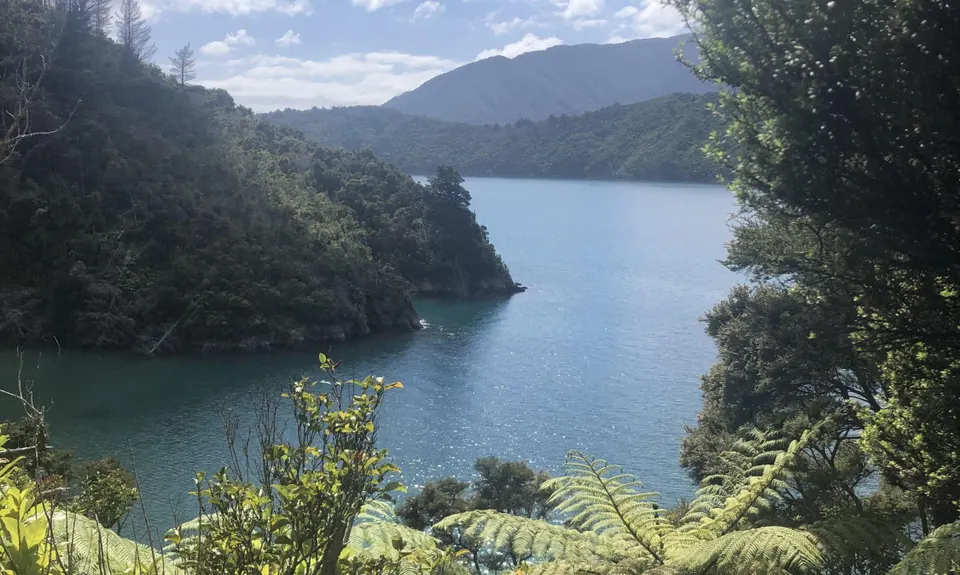 Archer Track, Marlborough