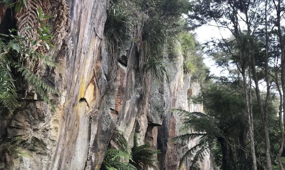 Timber Trail, Waikato