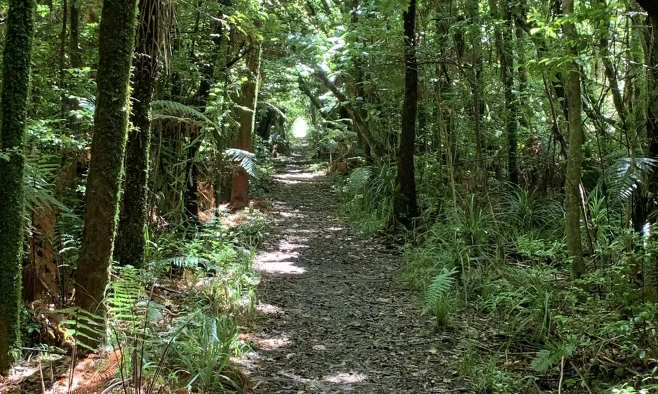 Waitawheta Tramway - Bogeys and Bluffs, Waikato