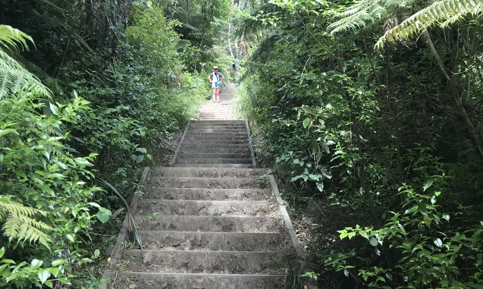 Puke Ariki (Point View Reserve), Auckland