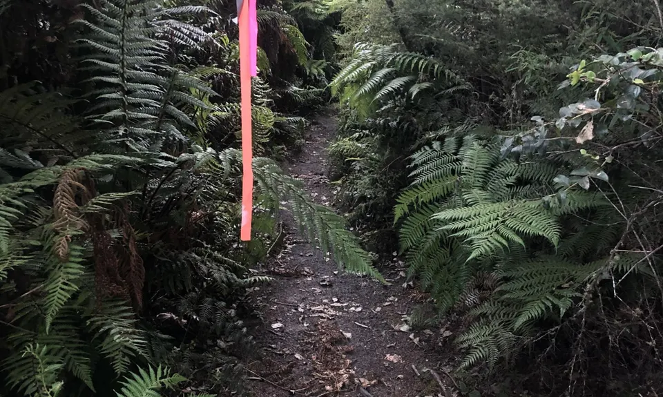 Okataina...Eastern & Western, Bay of Plenty
