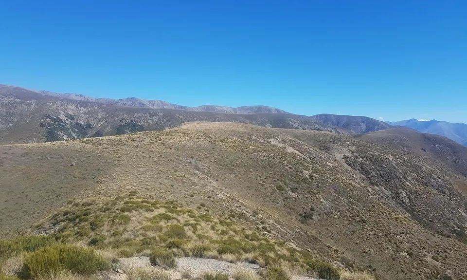Rabbiting around Benmore, Canterbury
