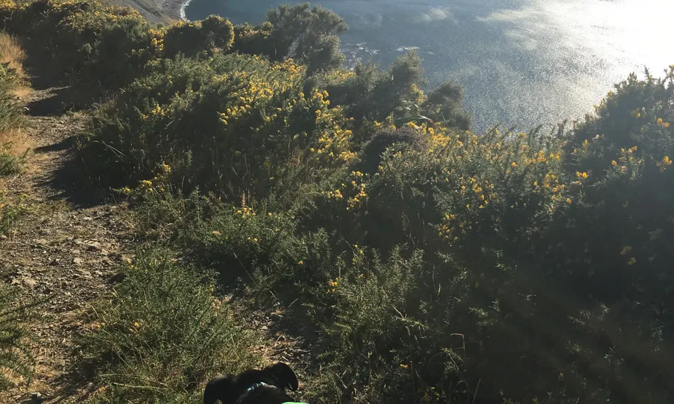 Red Rocks Loop, Wellington