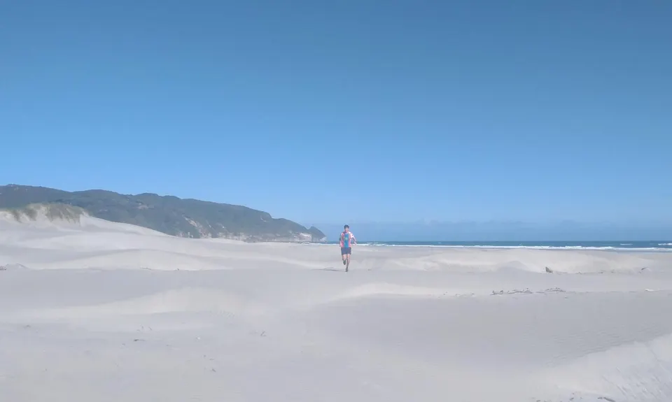 Farewell Spit Loop, Tasman