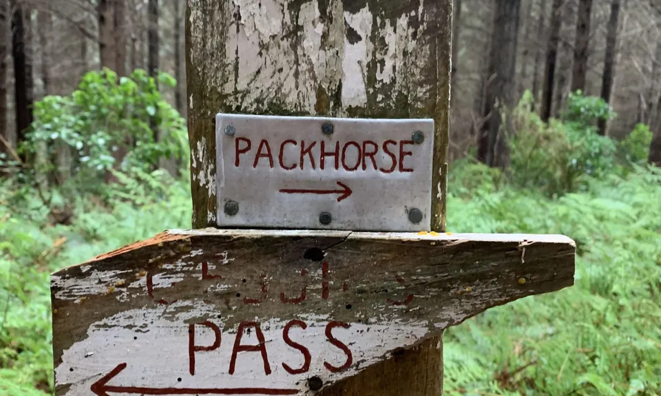 Gebbies to Packhorse Romp, Canterbury