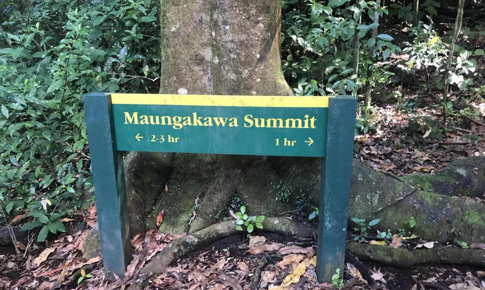 Maungakawa Ankle Breaker, Waikato