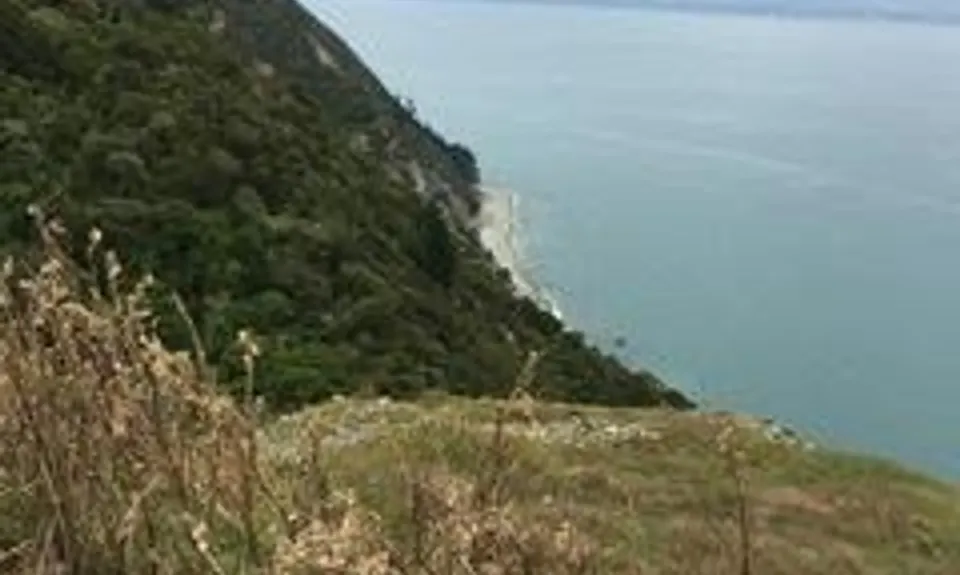 Cable Bay - Glenduan, Nelson