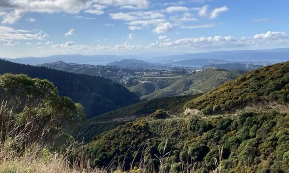 Red Rocks Loop, Wellington