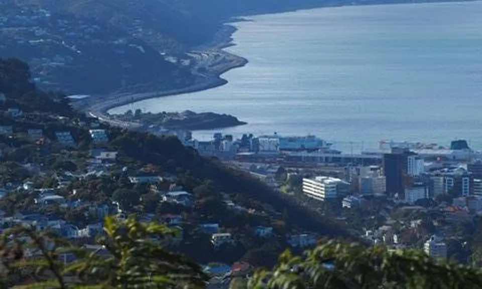 Sanctuary Fenceline, Wellington