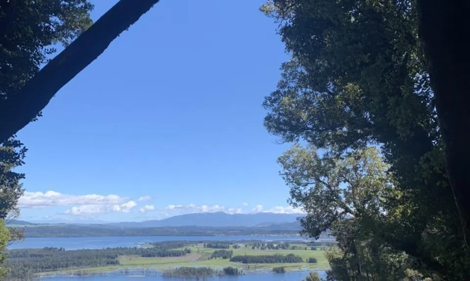 Mount Te Kinga, West Coast