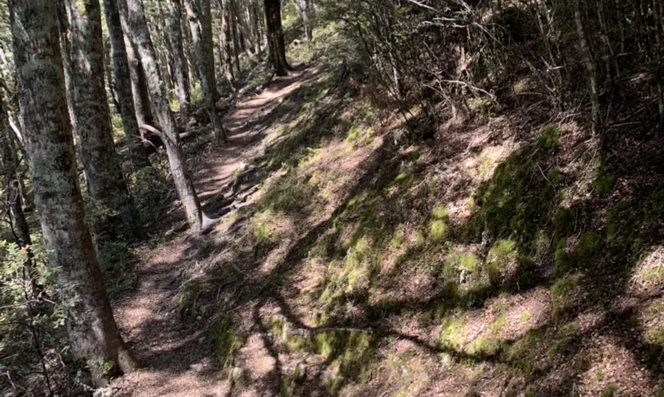 Cass-Lagoon Trail, Canterbury