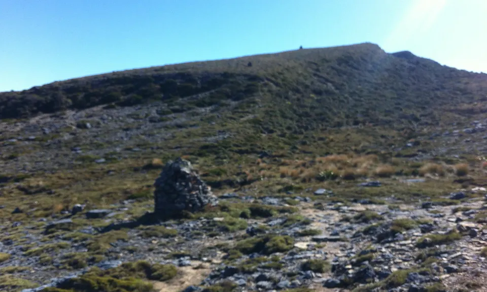Mt Davy Summit, West Coast