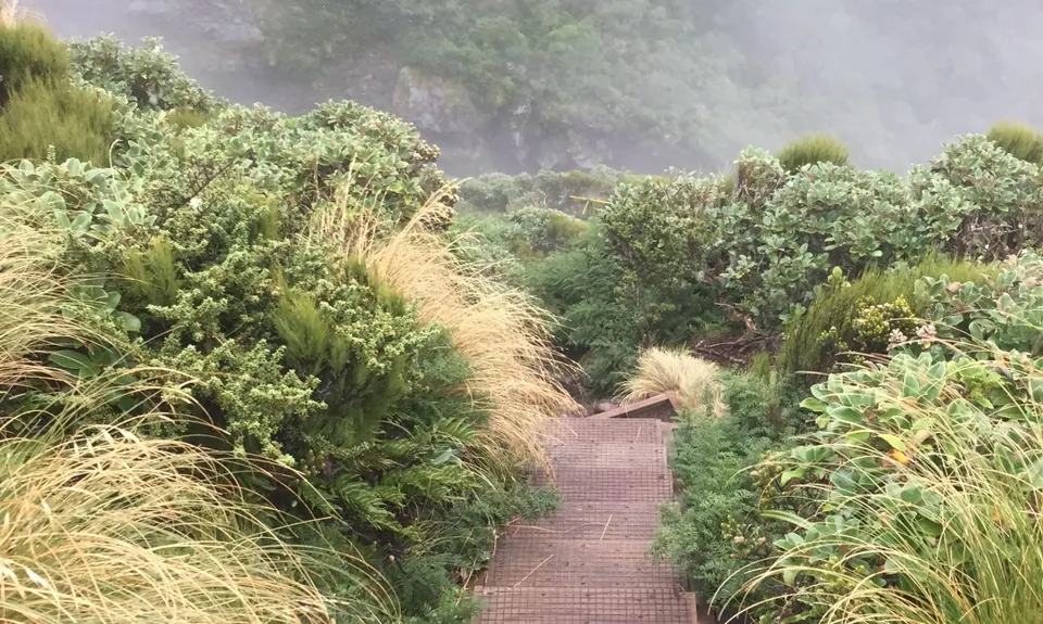Tahurangi Traverse, Taranaki