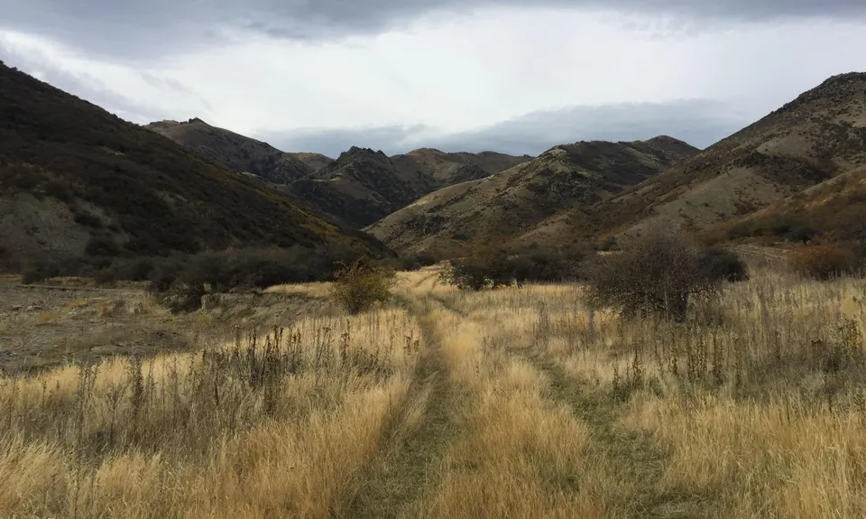 Mt Kamaka, Otago