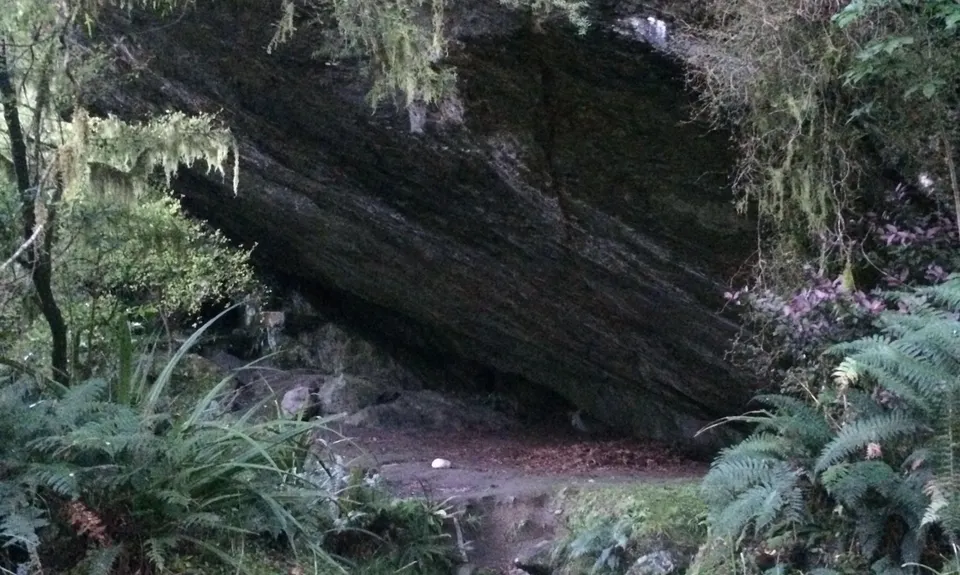 Copland Hot Pools Splash'n'Dash, West Coast