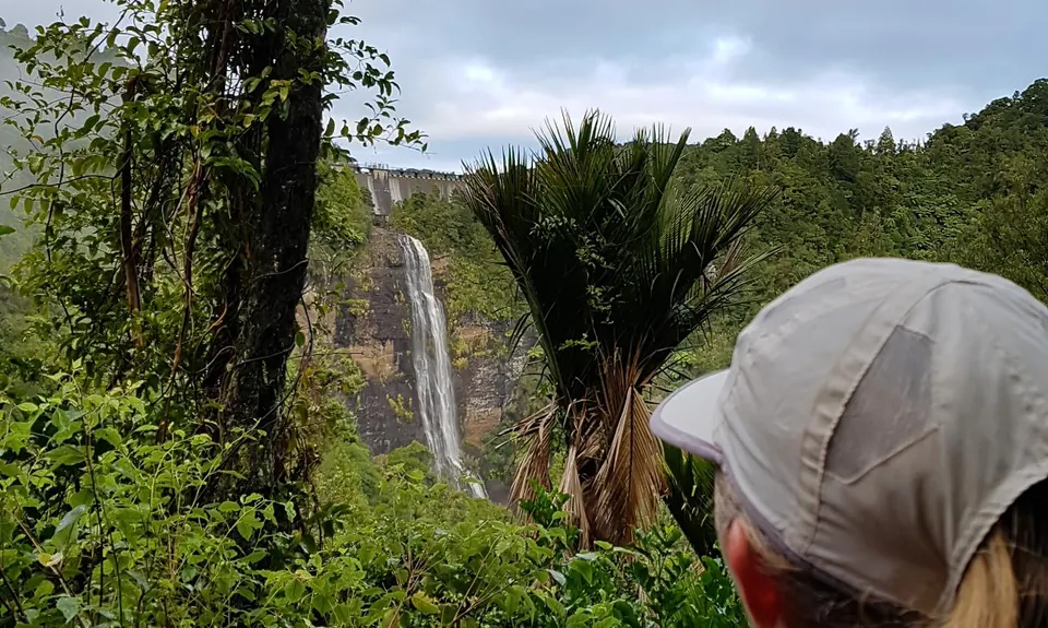 Cascade Kauri V1, Auckland