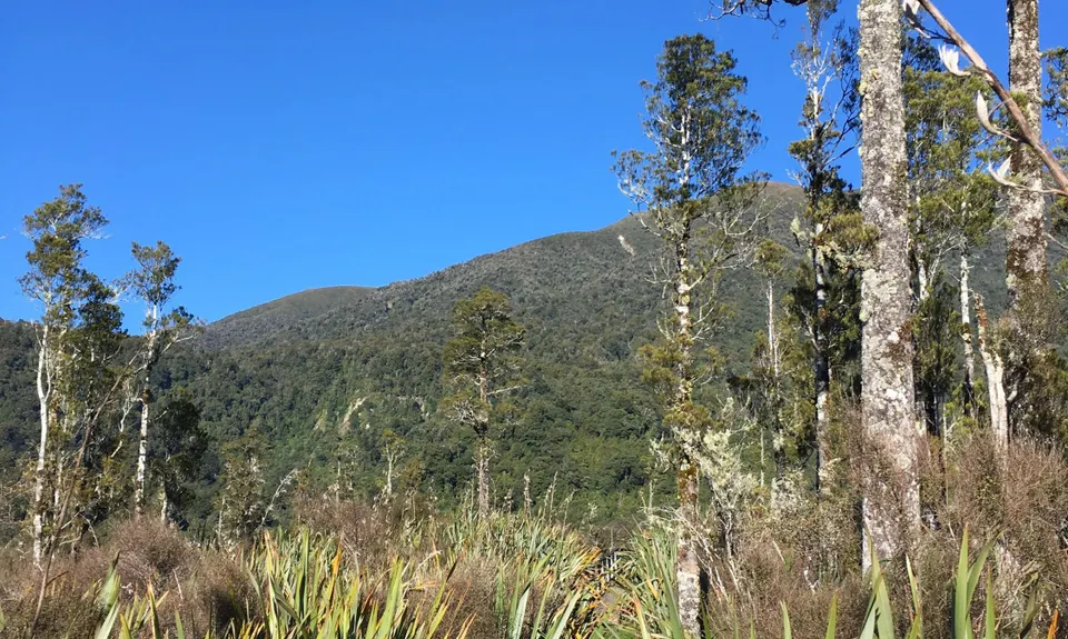 Mitchells Meander, West Coast