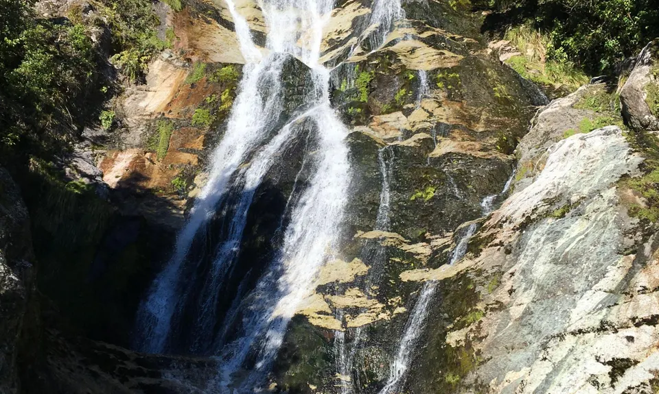 Mitchells Meander, West Coast