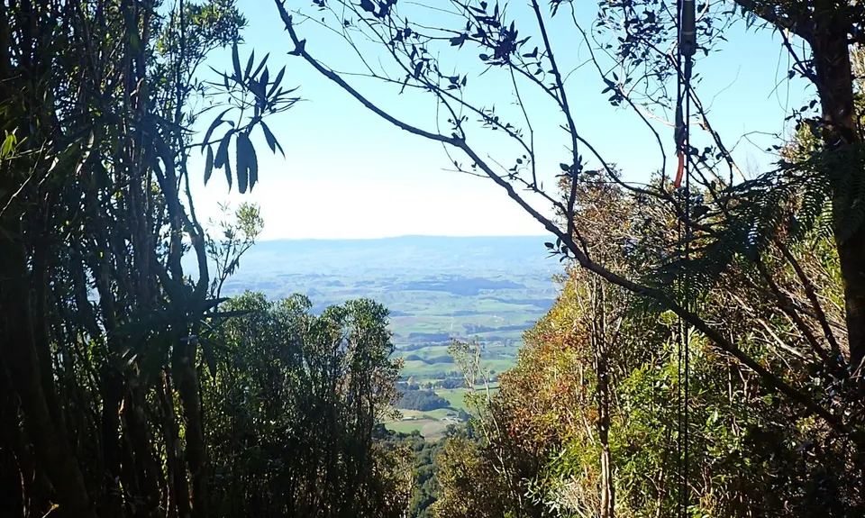 Maungatautari Sanctuary Mountain, Waikato