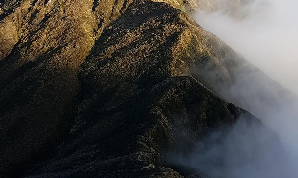 Herepai, Dundas, Cattle Ridge Loop, Manawatu - Wanganui