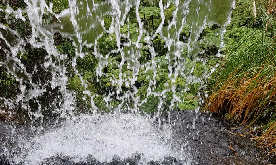 Cascade Kauri V2, Auckland
