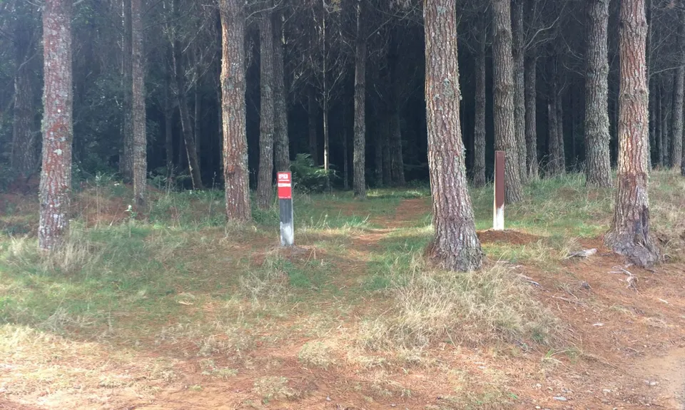 Buffalo Girl Trail - Tect Park, Bay of Plenty