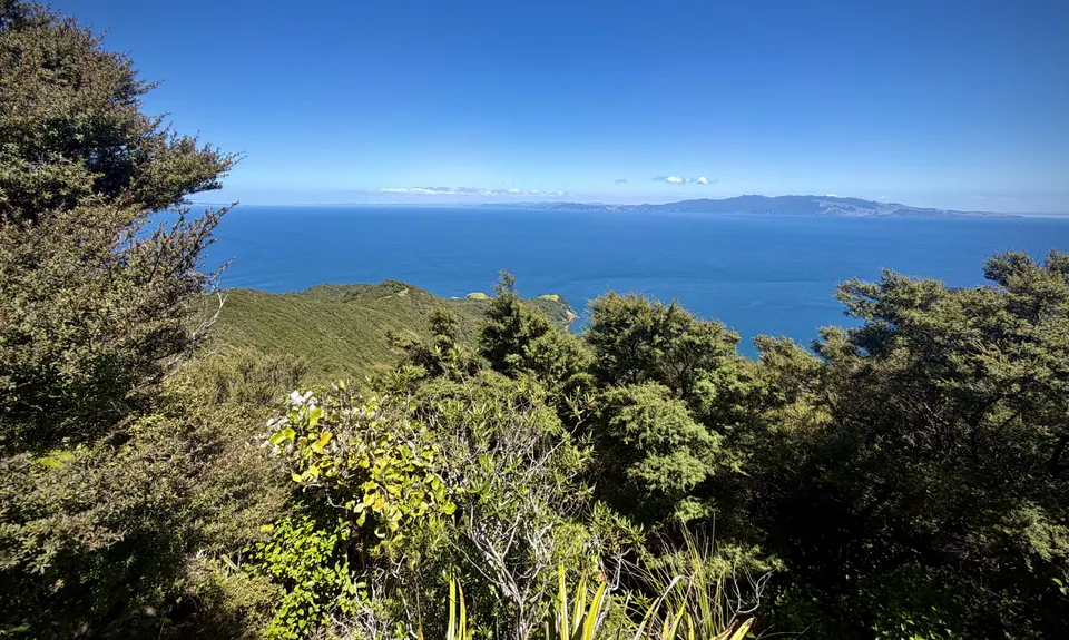 Ruahine