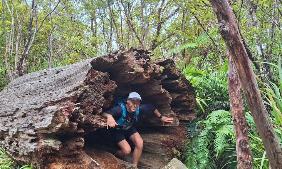 Coromandel Traverse, Waikato