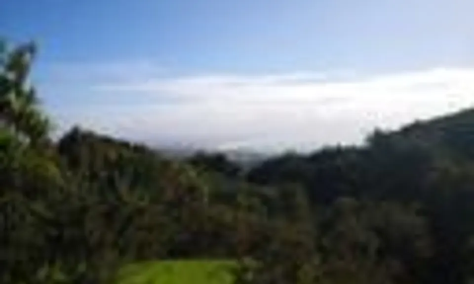 Langs View Track, Northland