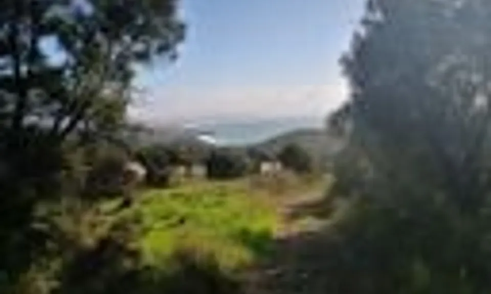 Langs View Track, Northland