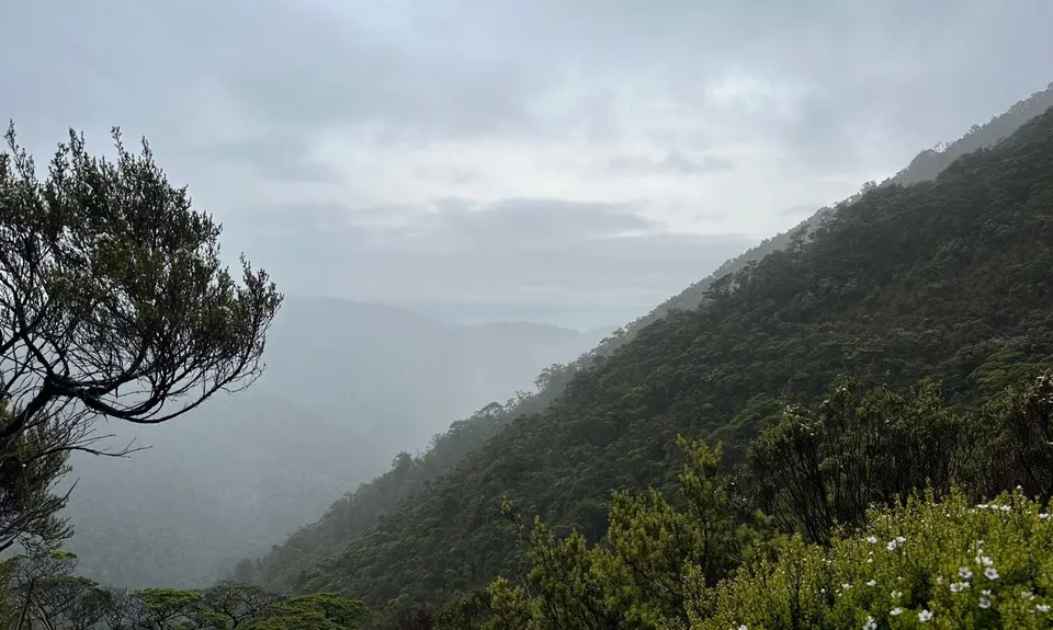 Dun Mountain Loop, Nelson